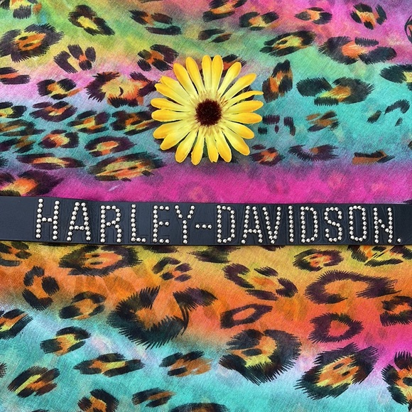 Harley-Davidson Accessories - 🏍 HARLEY-DAVIDSON; Authentic & Genuine Blk Lthr Silver Studded Uni-Sex Belt 34!